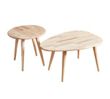 Beetle Coffee Table (Set of 2)