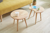 Ant Coffee Table (Set of 2)