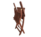 Island Folding Arm Chair (Set of 2)